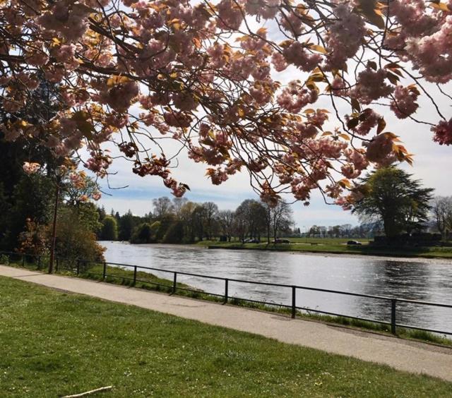 Wellingtonia Court Apartment Inverness Dış mekan fotoğraf